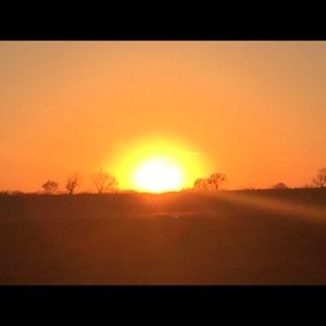 Meet your Posher, Rosy